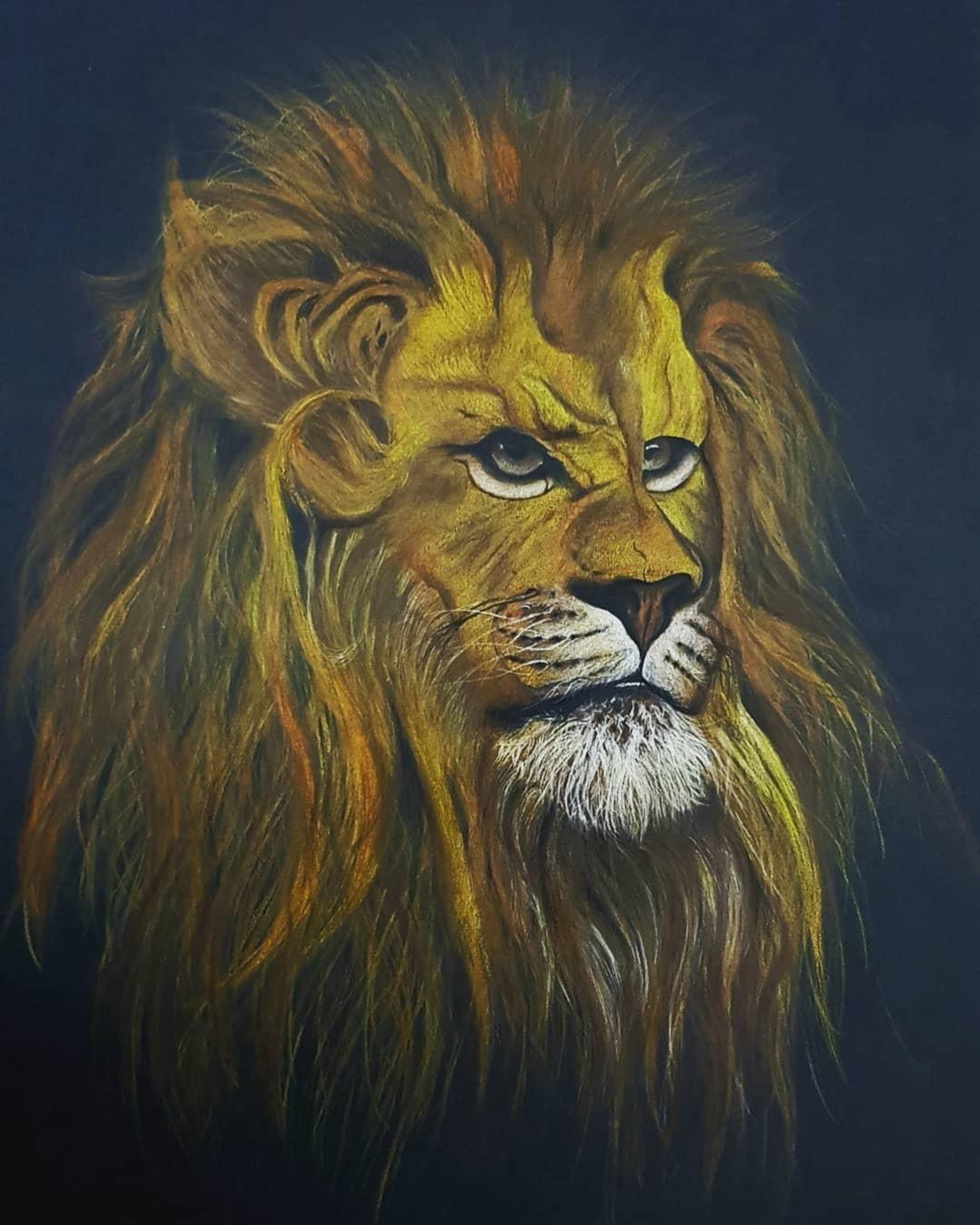 Minal Sonani's Art Classes